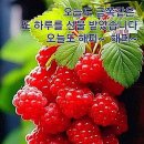 달이 떴다고 전화를 주시다니요 이미지