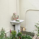 대화숯불갈비 이미지