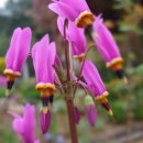 문경숲속정원 이미지