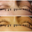 홍언니네파우더룸