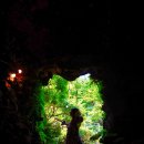 방림원 식물원 이미지