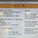 삶의 문학