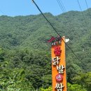 불닭발앤쌈 | 충북 단양군 고소한 콩국수 [불닭발앤쌈] • 냉콩국수 / 내돈내산 방문후기