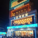 개샤방 | 속초해수욕장 조개구이 추천 조개상회 속초본점 내돈내산 애견동반 야장 있는 속초아이뷰 맛집