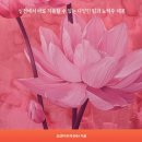 헤어락 - 고양시 덕양구 삼송로 162 | 헤어락
