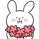 켈리플레르 이미지