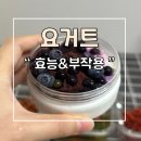 수제 요거트와 함께 먹는 까마중 열매 효능과 부작용 알아보기