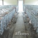 여지축산 이미지