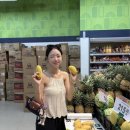 망고식당 이미지