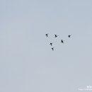 은빛추억 이미지