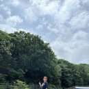 능이마을 (구 계혁명 옛날통닭 이동점) | 능이오리백숙, 닭도리탕, 한방닭백숙, 도토리묵무침, 감자전 후기