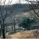 부평구 비타민길 이미지