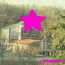 왕초보 여행 영어 이미지