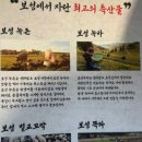 프레델 고양스타필드 | 고양 스타필드 맛집 수준 높은 고기집 보성숯불가든
