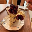 구구루 | 백석 디저트 맛집 구구루- 케이크 먹고 반해버린 카페☕🍰