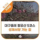 팔공산올레길 5코스 이미지