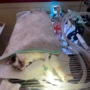 명덕동물병원 이미지