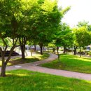 안성맞춤가족공원 이미지