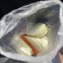 다람쥐공원 | 북한산 백운대 최단코스 등산 후기 | 우이역 다람쥐택시 꿀팁부터 소요시간까지(주차, 화장실 정보)