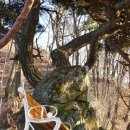 봉양동 봉양사거리 ~ 31번 버스종점 | 천보산 (432m) 칠봉산 (506m) 연계 산행 (2013.12.06 금)