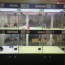 우프동물농장 이미지