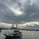 고고실내바다낚시 | [제주/체험] 제주 성산포 선상낚시 파랑도호 참돔낚시 5자 참돔 잡은 후기