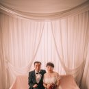 서초대로42길 44 이미지