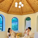 스테이율 이미지