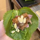 코리아스넥 이미지