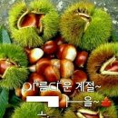 황토흙집펜션 이미지