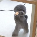 온무드