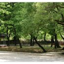 숲속가든 - 금산군 | 숲속가든