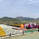 꽃물 공원 이미지