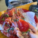 이마트24 R고령귀원점 이미지