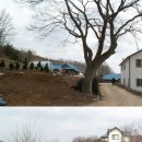 산길따라 이미지