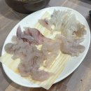 복개천산오징어