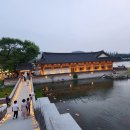 연꽃향기 | 무더운 여름 전주 덕진공원의 연꽃은 더욱 진하고 향기롭습니다.