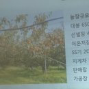 농부의꿈영농조합법인 이미지