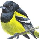 거모동보아파트 이미지