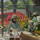 애견호텔 나무야 | 경주 애견동반 호텔 키녹! 가족여행으로 방문한 디럭스A / 펫파크 이용후기