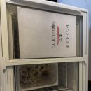 베이브리즈가족호텔 | 일본 소도시 여행 렌트카 타고 슈젠지온천마을 브리즈베이 조식 석식 룸 후기