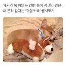 복돌네민박 이미지