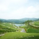 송호골프디자인주 이미지