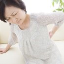 휴가때 영국 숲길 걸었을 뿐인데…40대女, 임파선 붓고 온몸 통증, 왜? 이미지