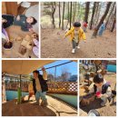 희수자연학교어린이집