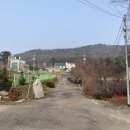 고향옻닭삼계탕 이미지