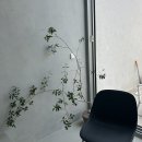 안유재 이미지