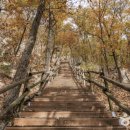 자연속에서-산 이미지