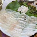 싱싱채운