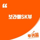 가능1동SK아파트옆 | 신길동 보라매SK뷰 아파트 분석? 서울 + 대단지 + 신축 + 역세권 + 브랜드!